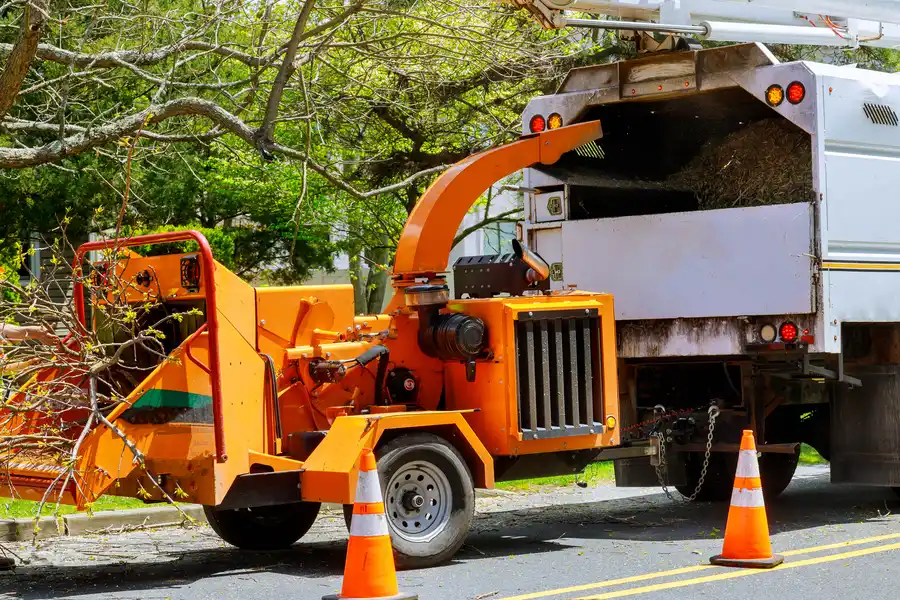 Excellent Tree Removal Service Weymouth, MA Excellent Tree Removal Service Weymouth, MA