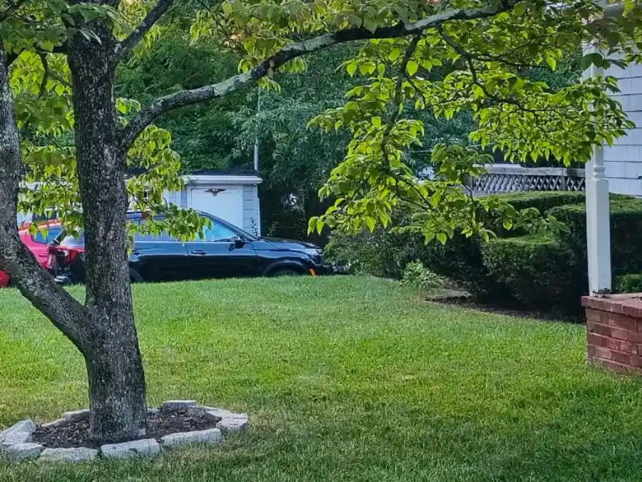 Professional Mulching in Weymouth, MA Professional Mulching in Weymouth, MA